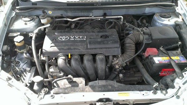 Промывка двигателя Toyota Corolla Fielder