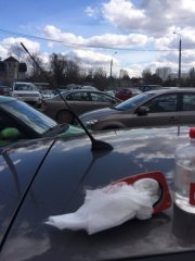 Как укоротить антенну в Ford Focus 3 своими руками