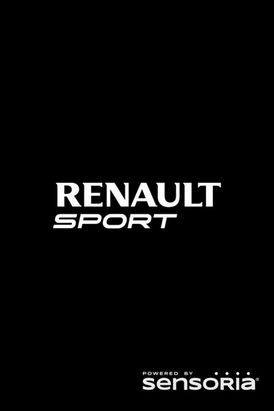 Характеристики и установка программы телеметрии R.S. Monitor для Лады Приора