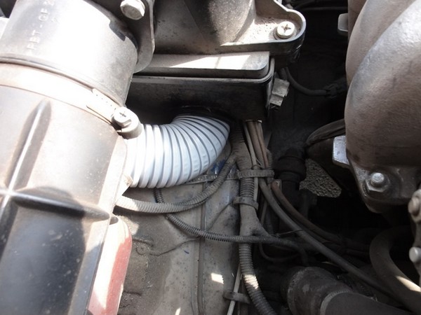 Мини-шноркель в НИВУ